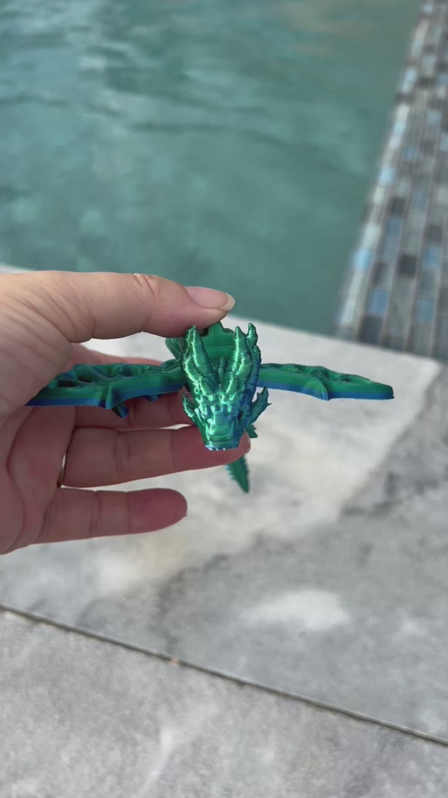 Little Winged Dragon